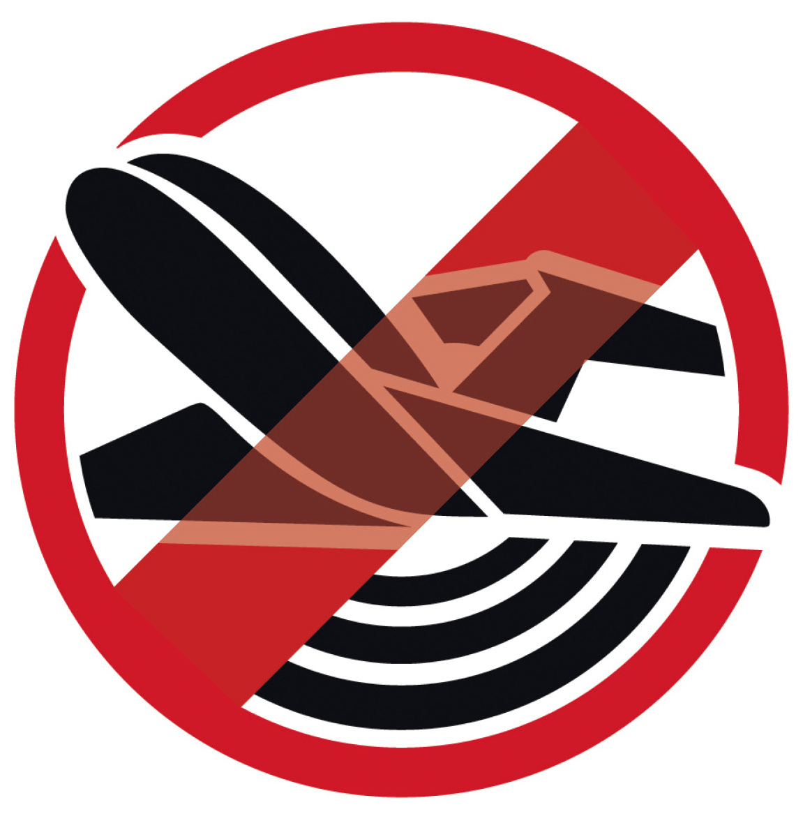 BIG_Fluglaerm_Logo
