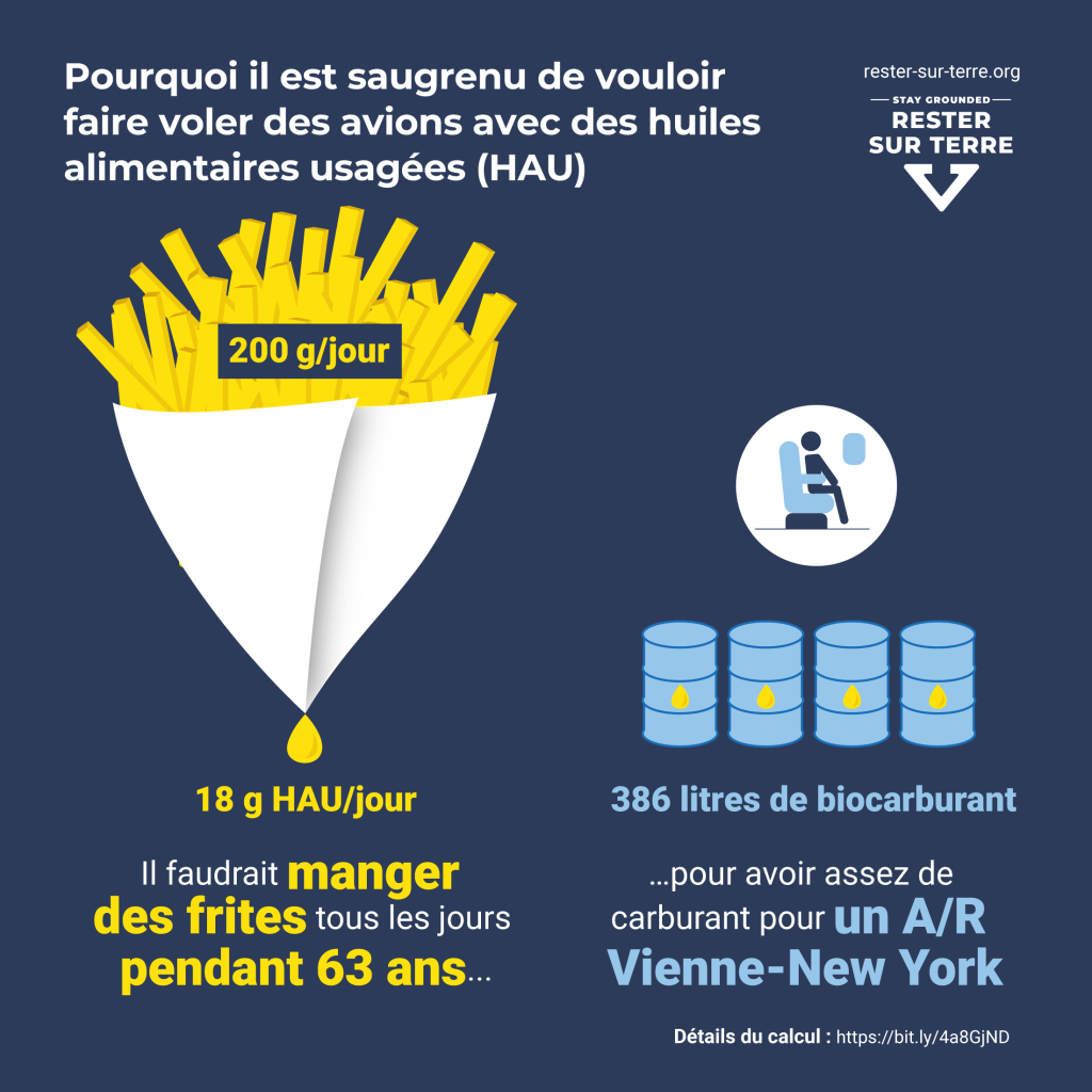 Il faudrait manger des frites tous les jours pendant 63 ans pour avoir assez de biocarburant pour un A/R Vienne-New-York